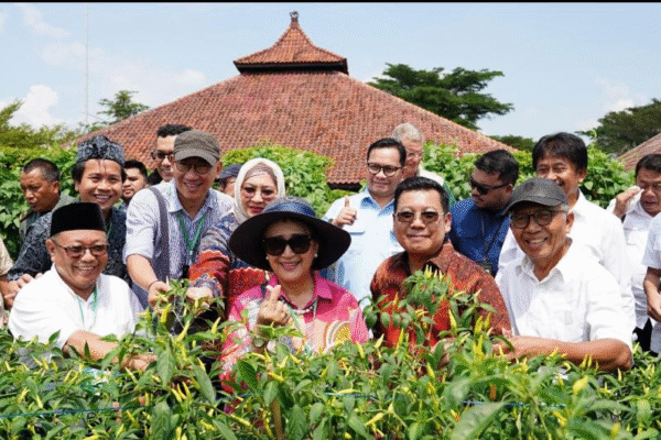 Presiden Minta Peningkatan Riset Pangan Lokal Adaptif Iklim Pangan Lokal