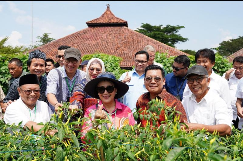 Presiden Minta Peningkatan Riset Pangan Lokal Adaptif Iklim Pangan Lokal