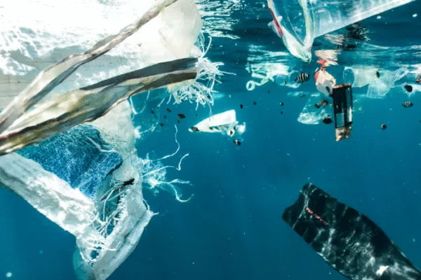 Bahaya Mikroplastik