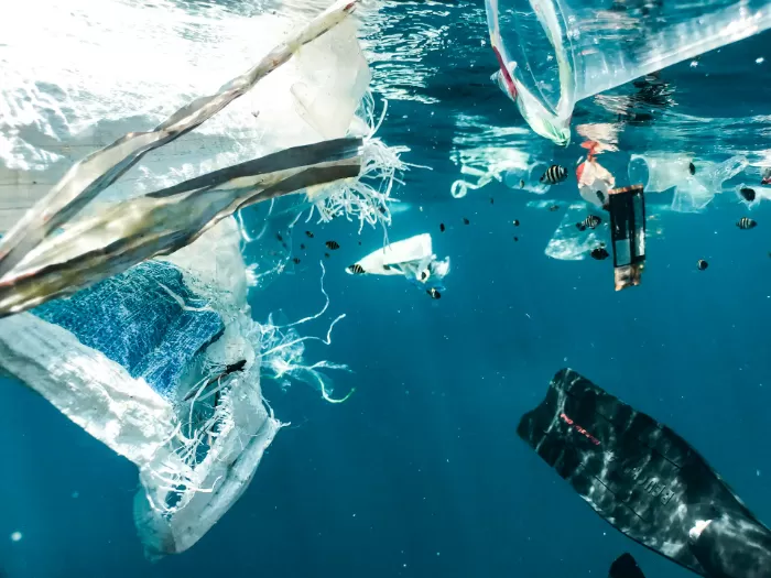 Bahaya Mikroplastik